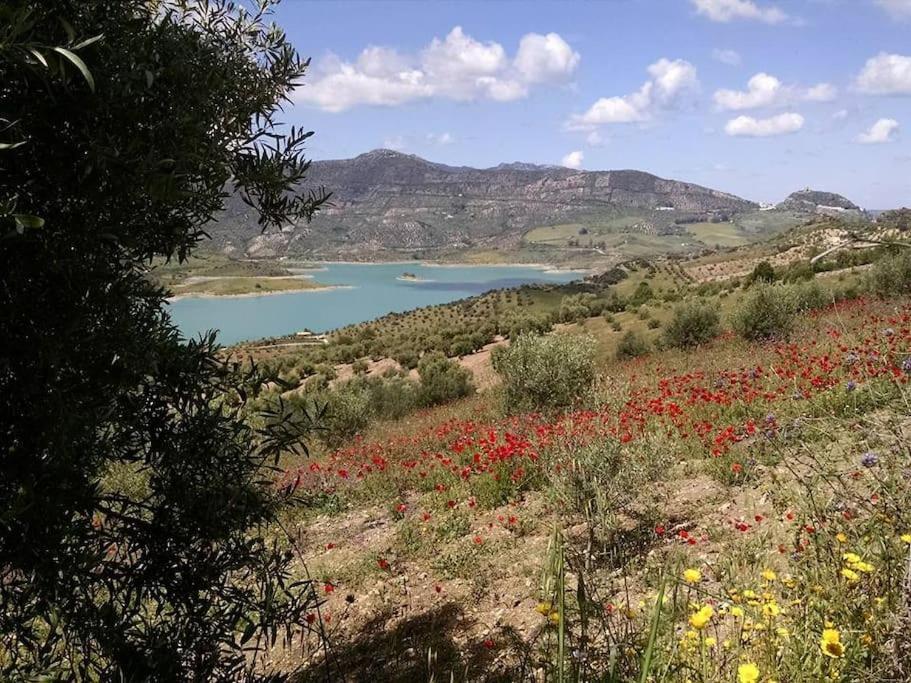 Casa De Las Flores - A Picture Perfect Location! Эль-Гастор Экстерьер фото