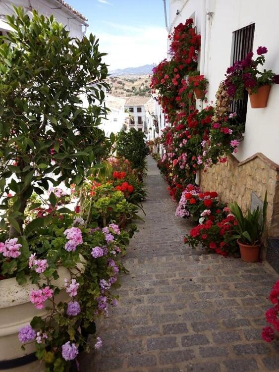 Casa De Las Flores - A Picture Perfect Location! Эль-Гастор Экстерьер фото