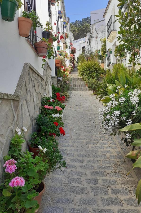 Casa De Las Flores - A Picture Perfect Location! Эль-Гастор Экстерьер фото