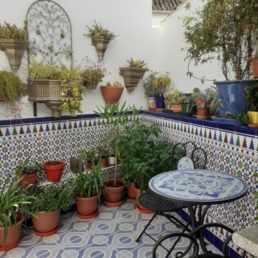 Casa De Las Flores - A Picture Perfect Location! Эль-Гастор Экстерьер фото